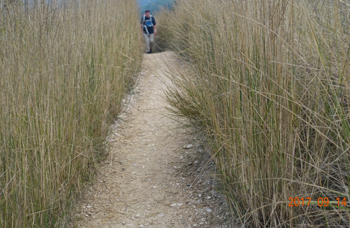 Camino-2017-09-14a