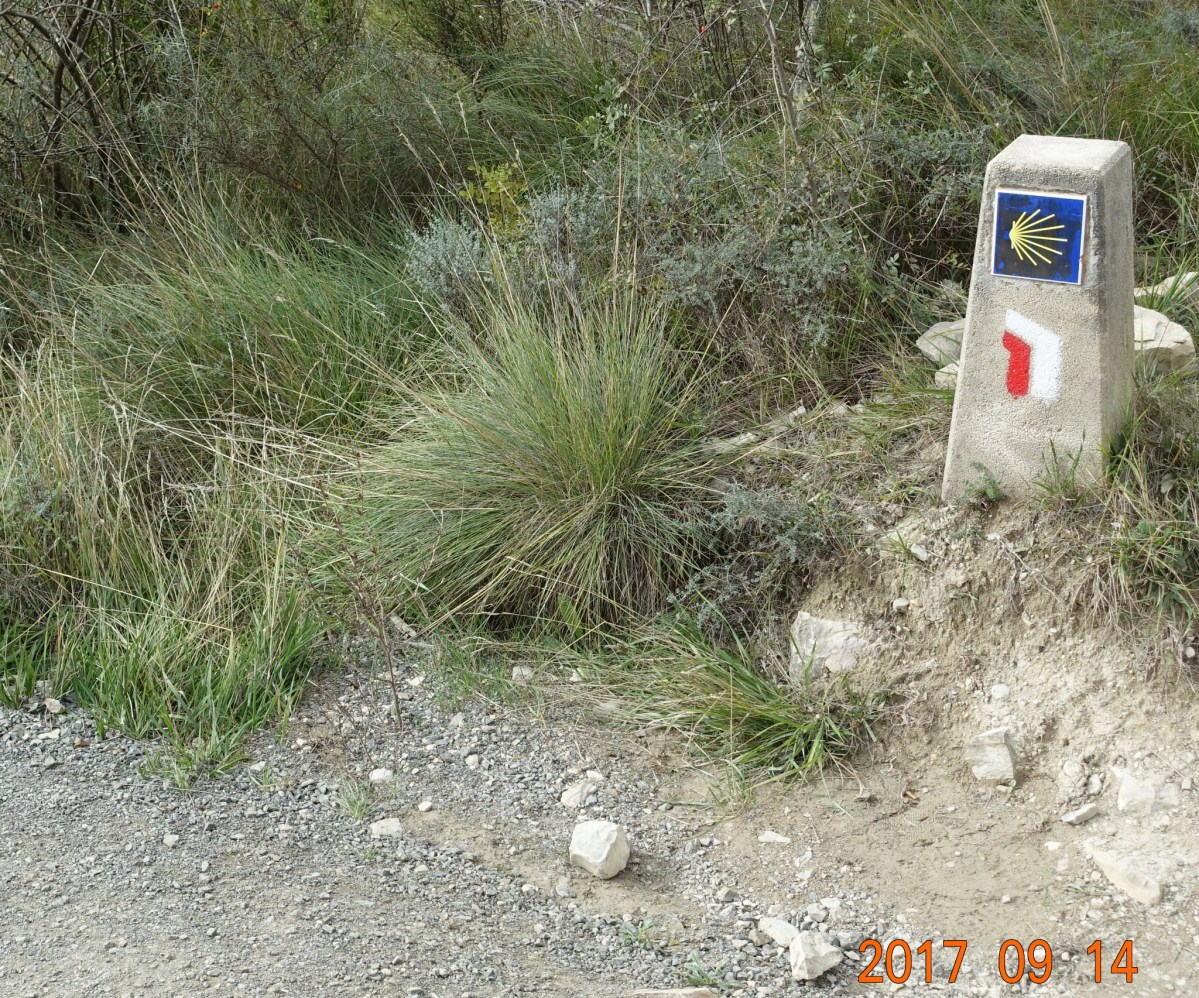 Camino-2017-09-14e