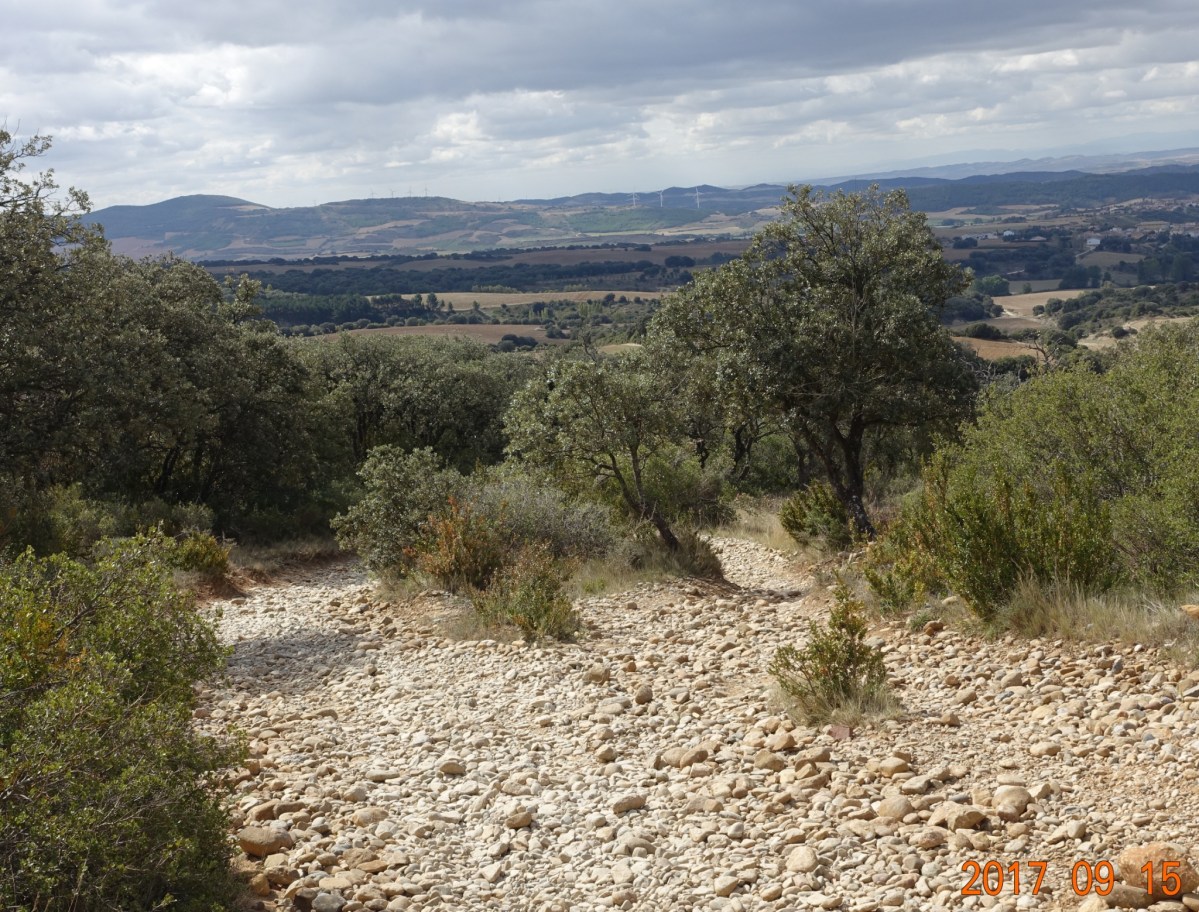 Camino-2017-09-15h