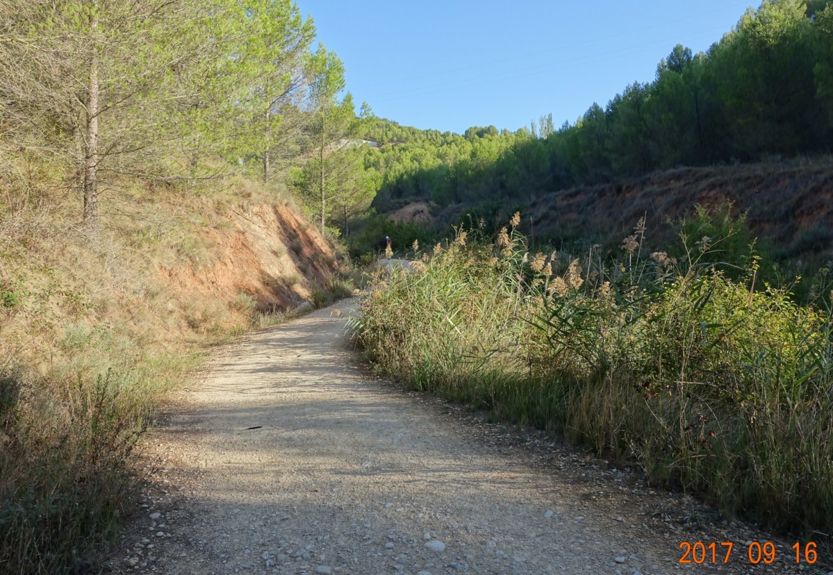 Camino-2017-09-16b