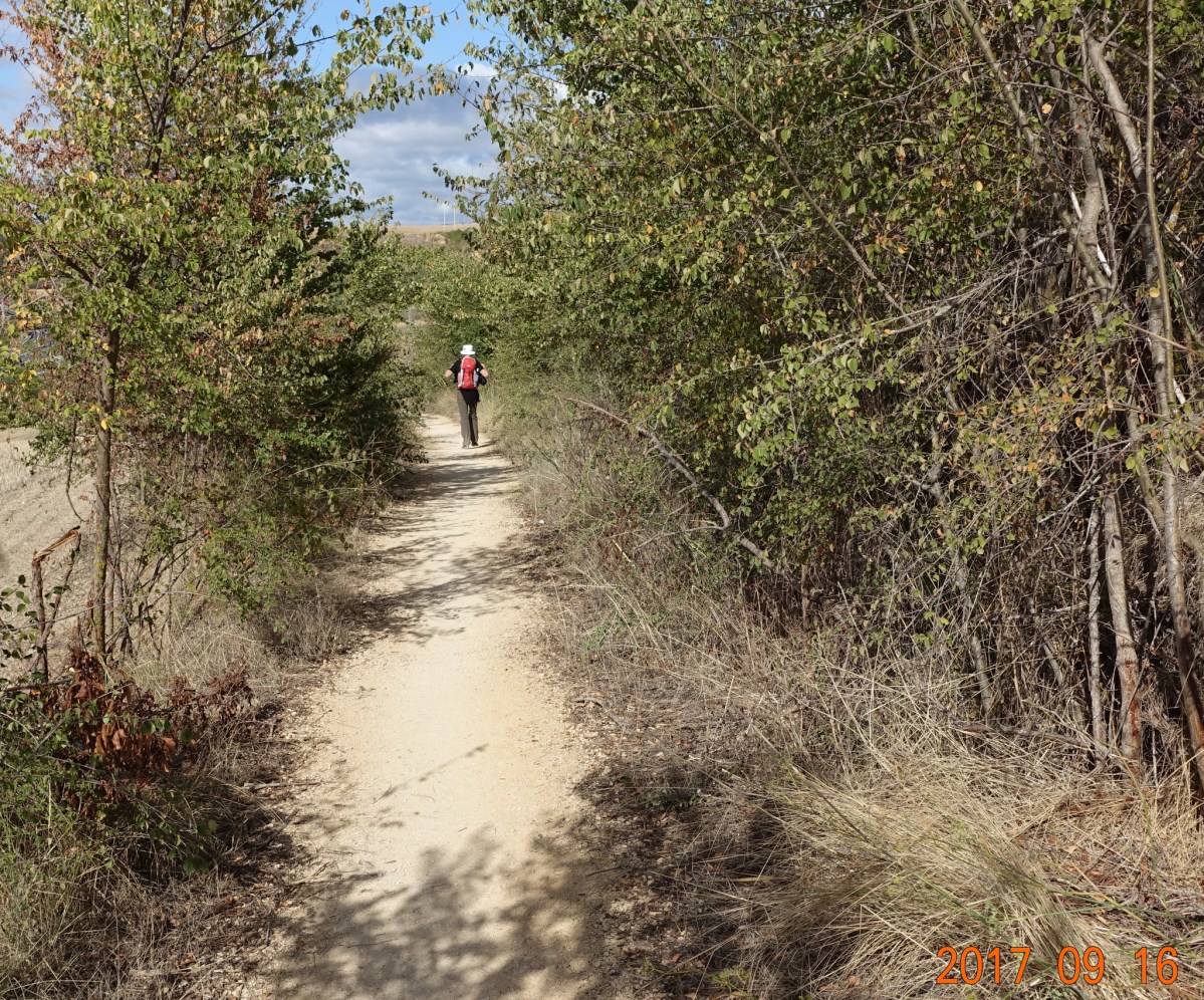 Camino-2017-09-16f