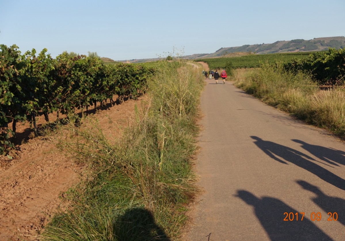 Camino-2017-09-20c