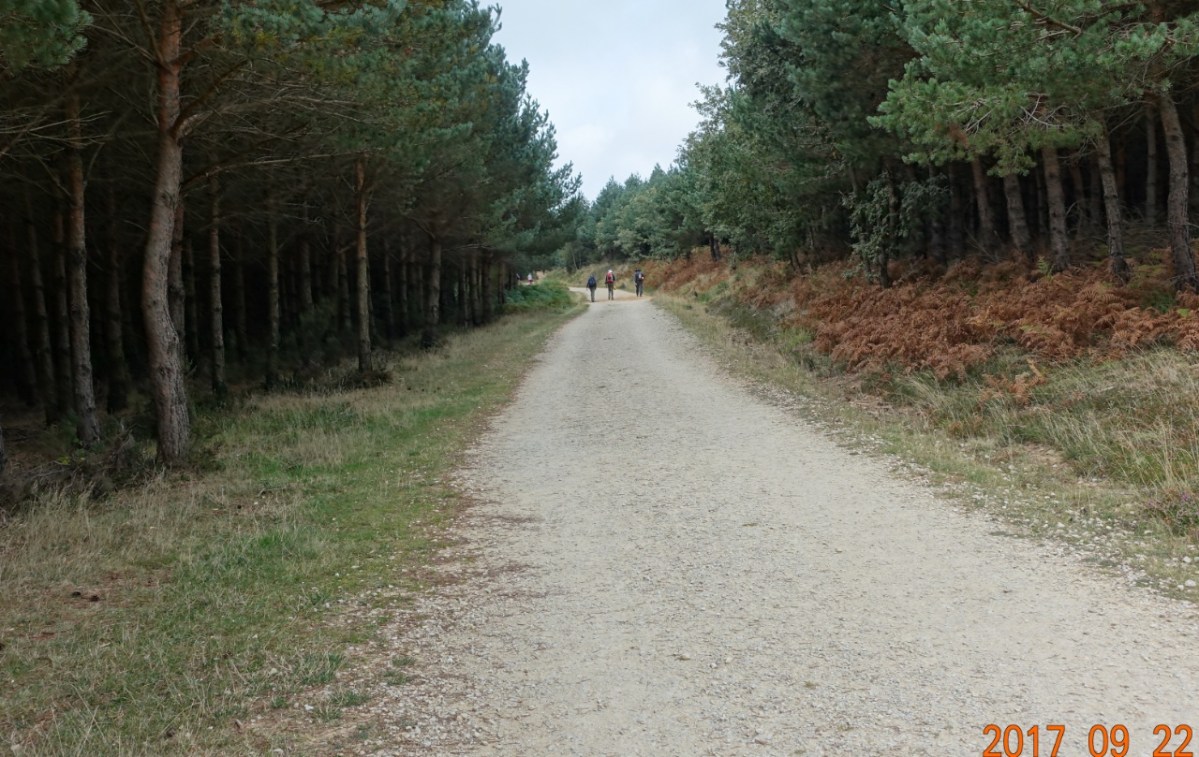 Camino-2017-09-22d