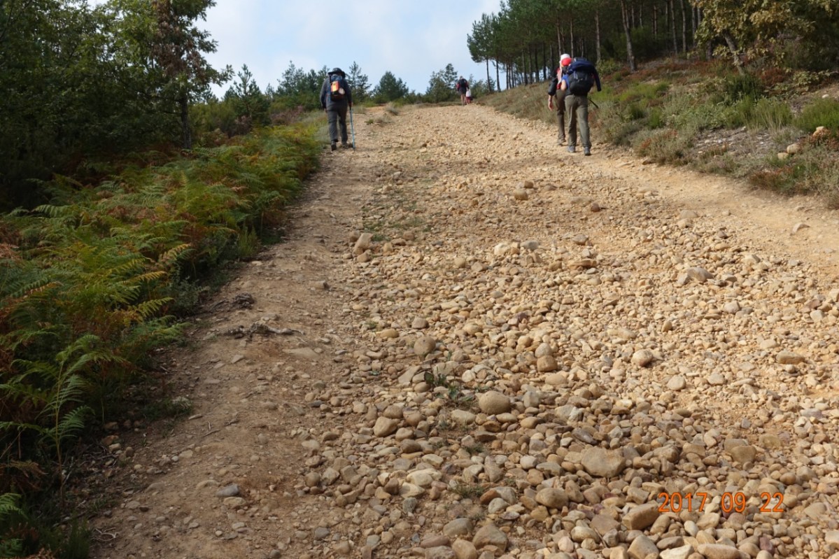 Camino-2017-09-22f
