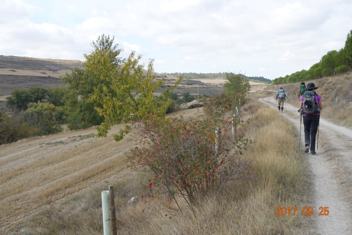 Camino-2017-09-25f