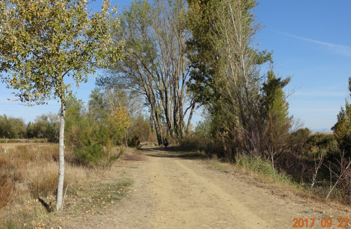 Camino-2017-09-27d