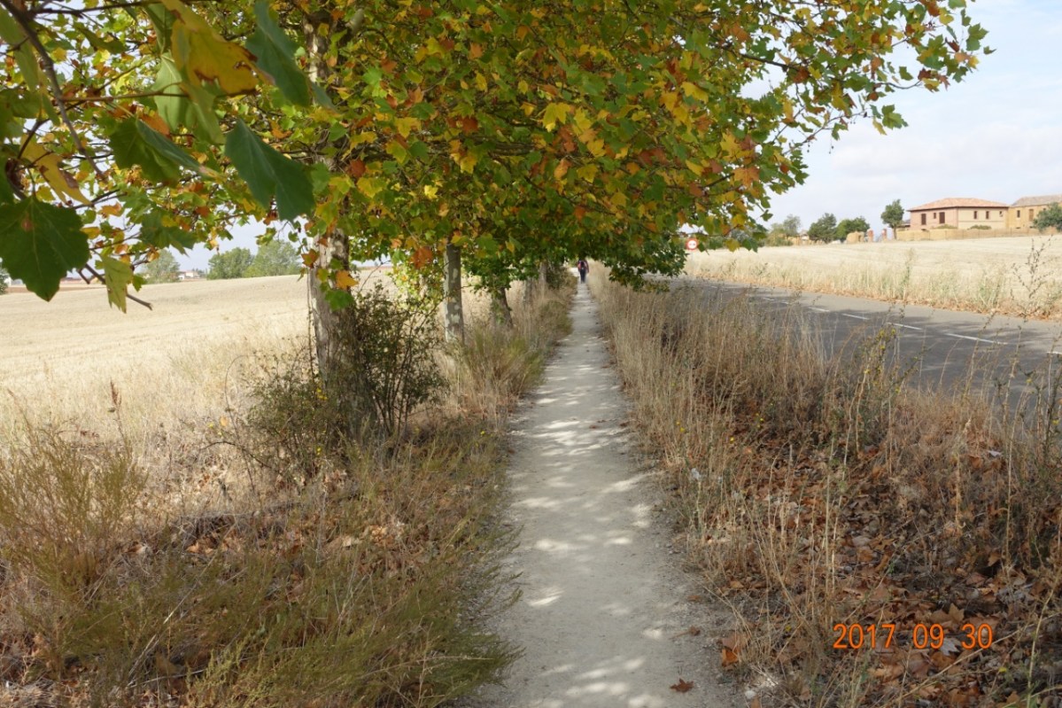 Camino-2017-09-30j