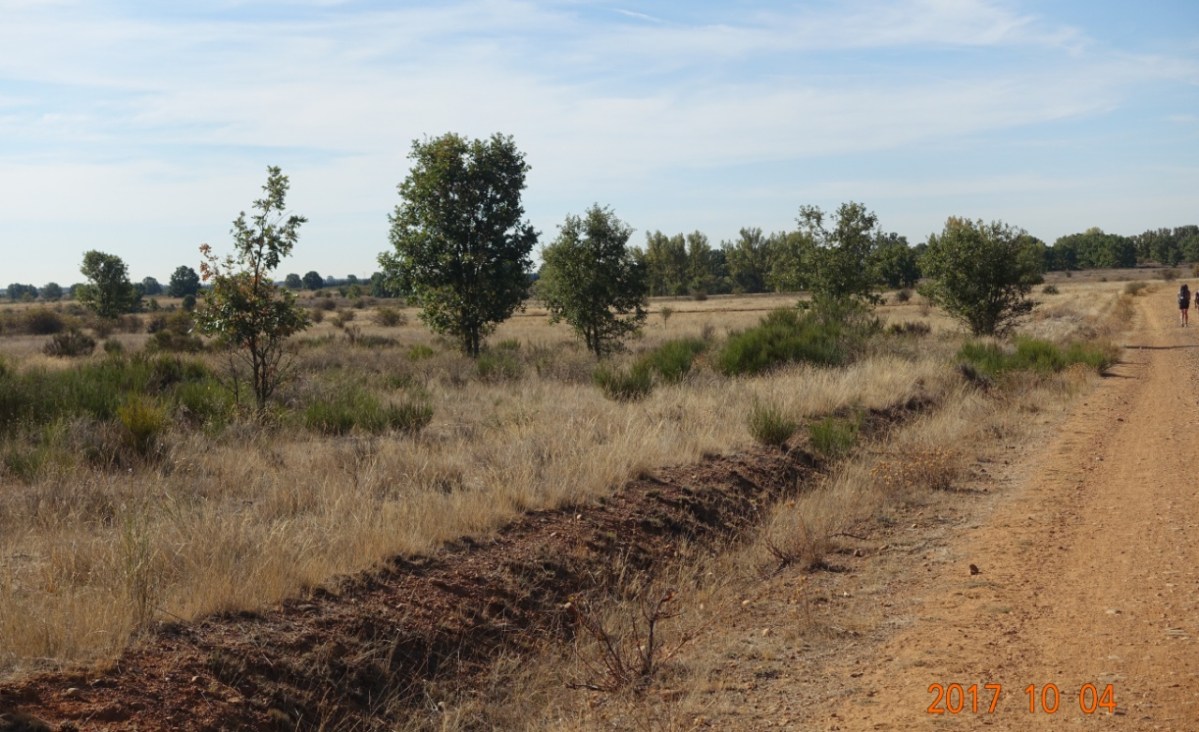 Camino-2017-10-04n