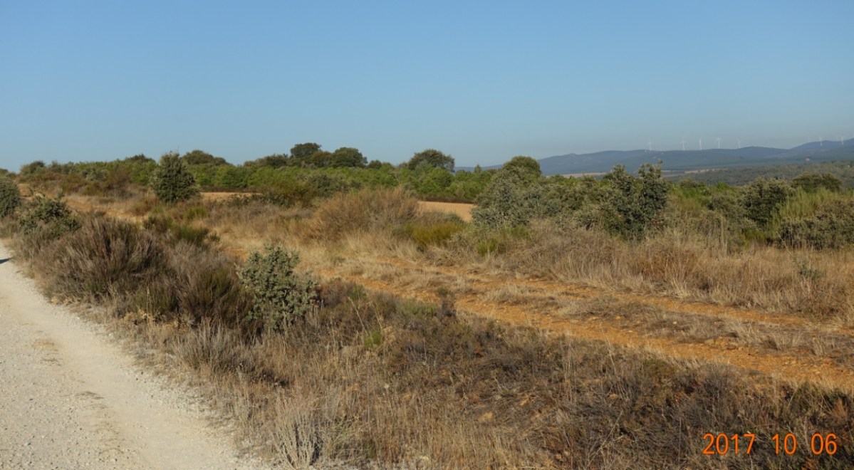 Camino-2017-10-06d