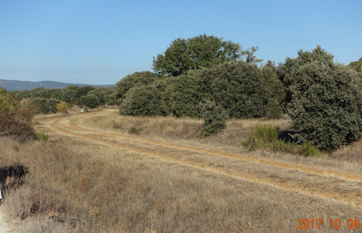 Camino-2017-10-06f