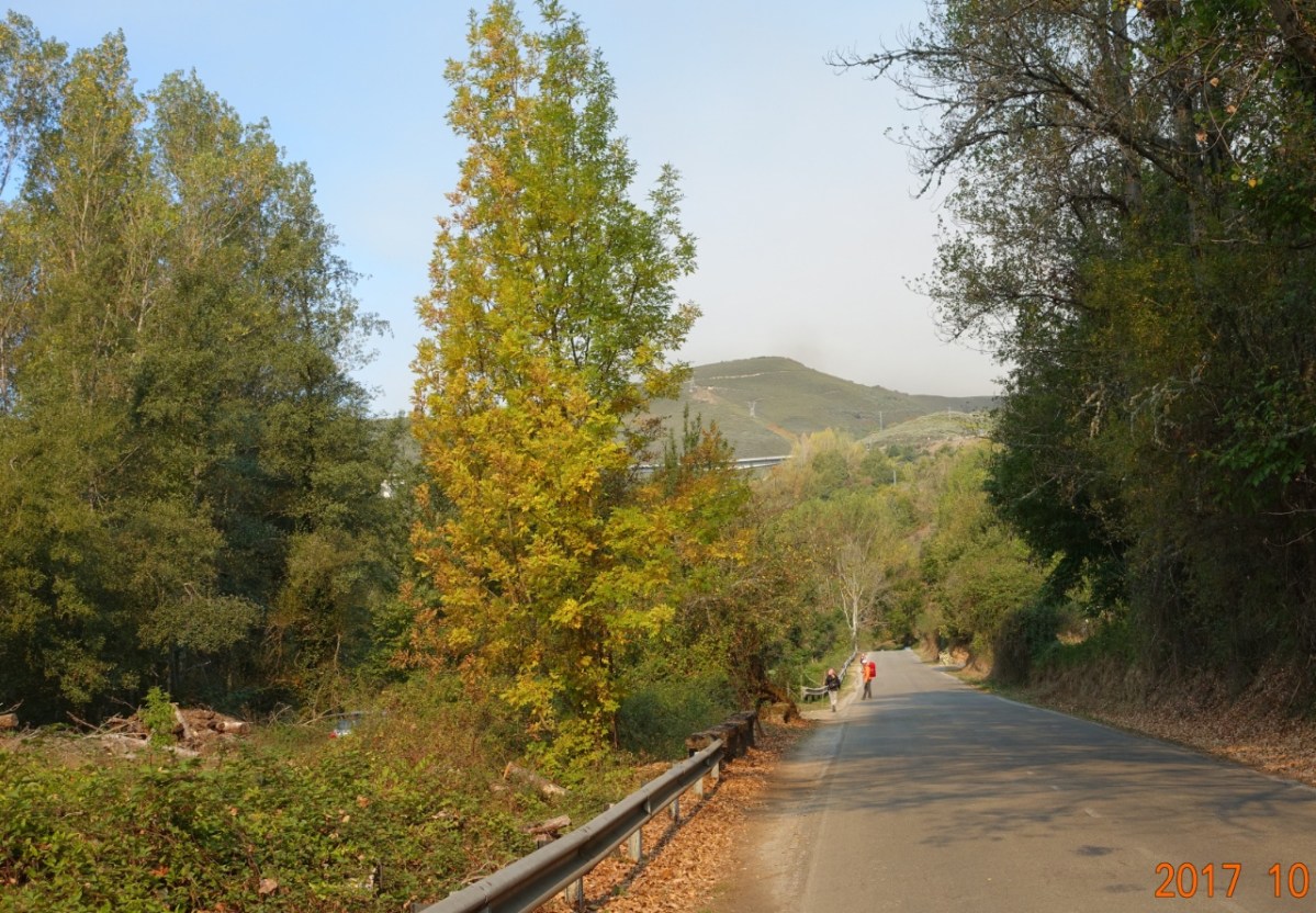 Camino-2017-10-09n
