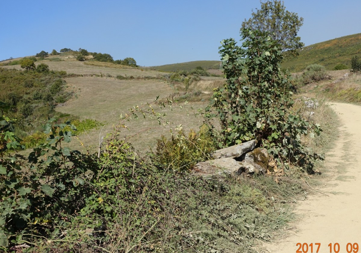 Camino-2017-10-09s