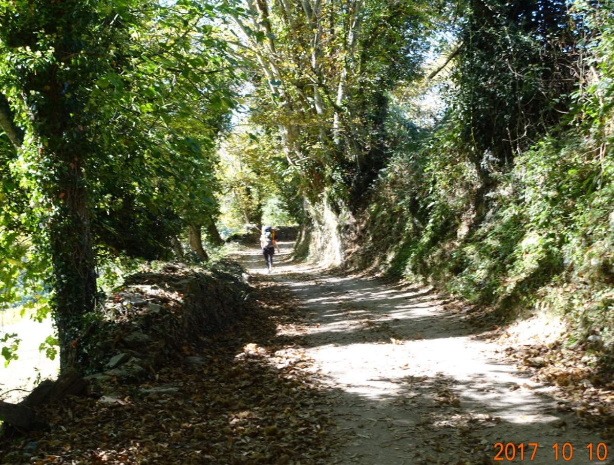 Camino-2017-10-10j