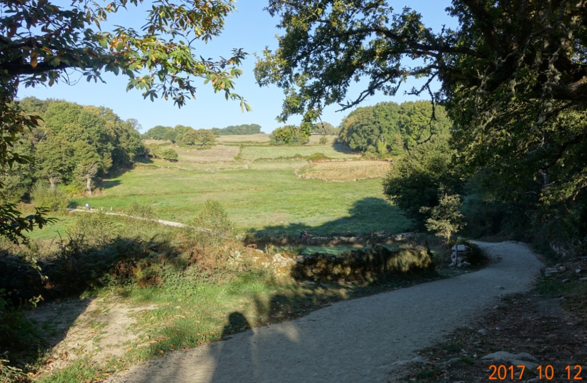 Camino-2017-10-12f