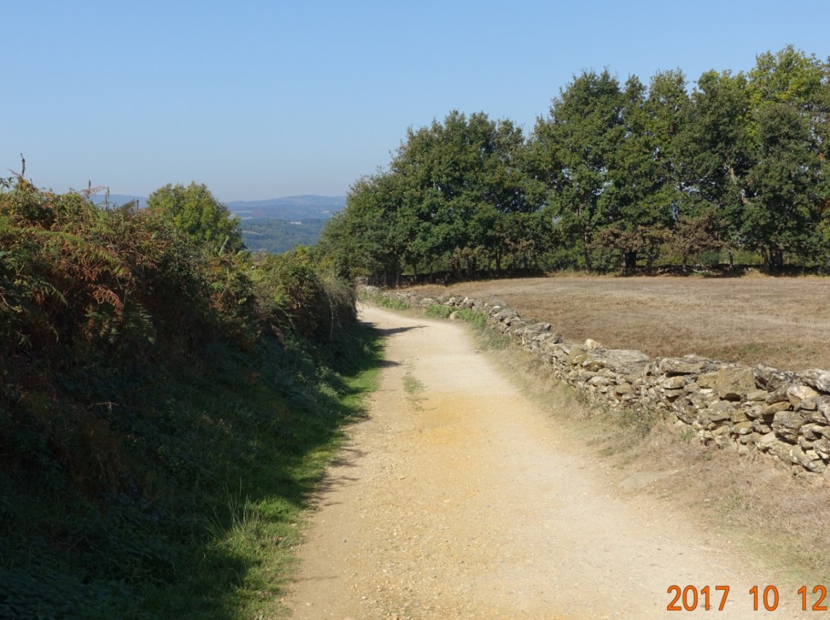 Camino-2017-10-12g