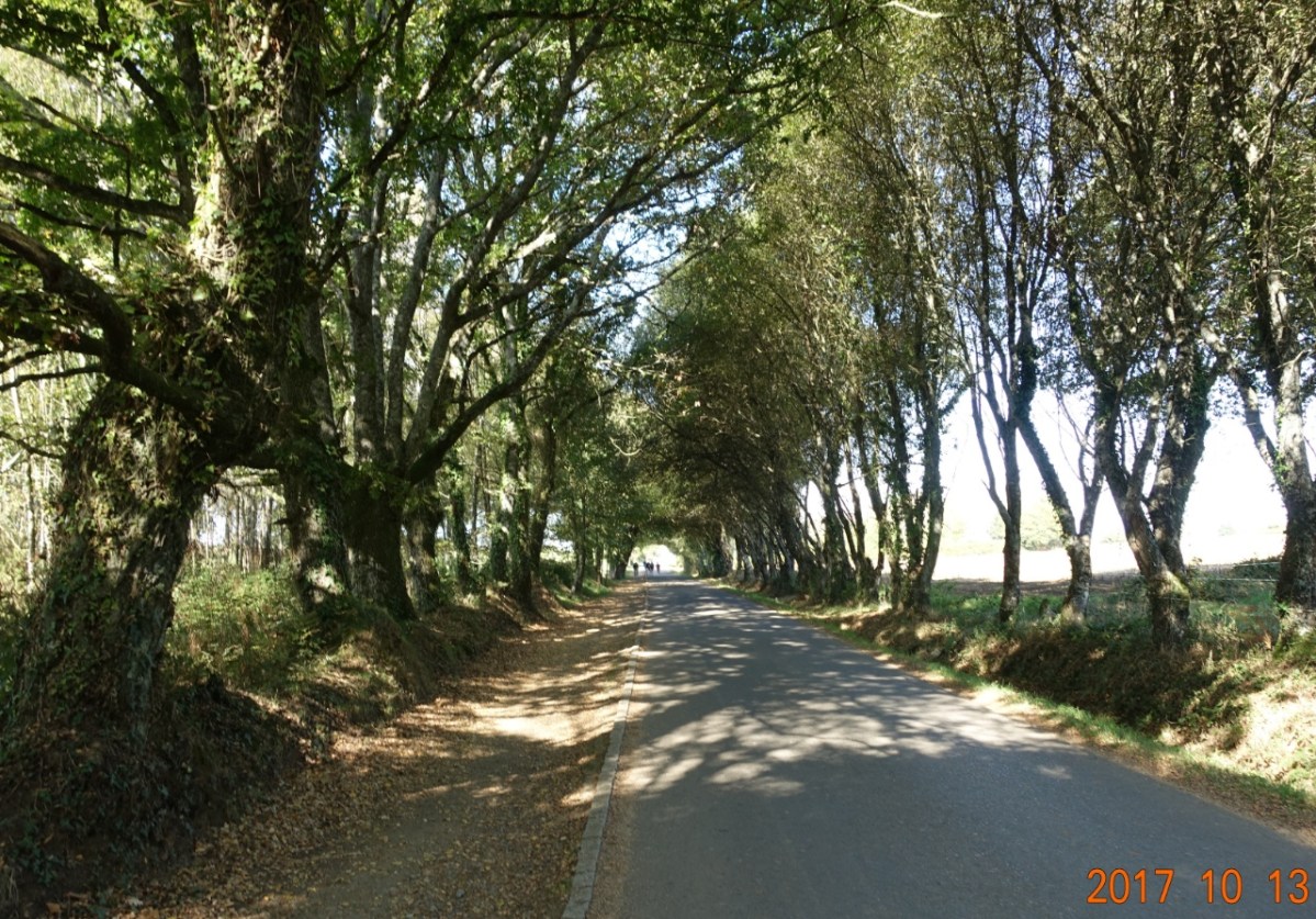 Camino-2017-10-13i