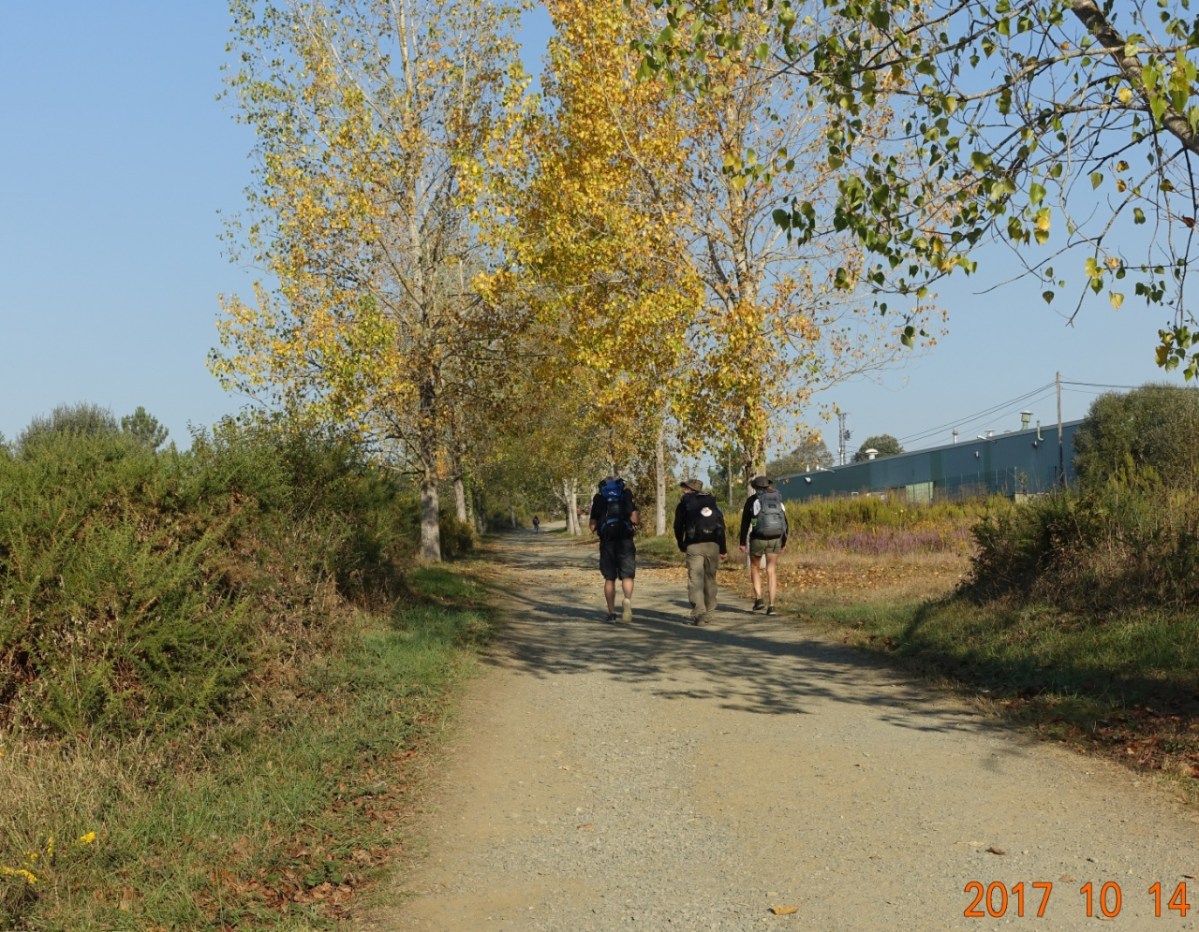 Camino-2017-10-14h