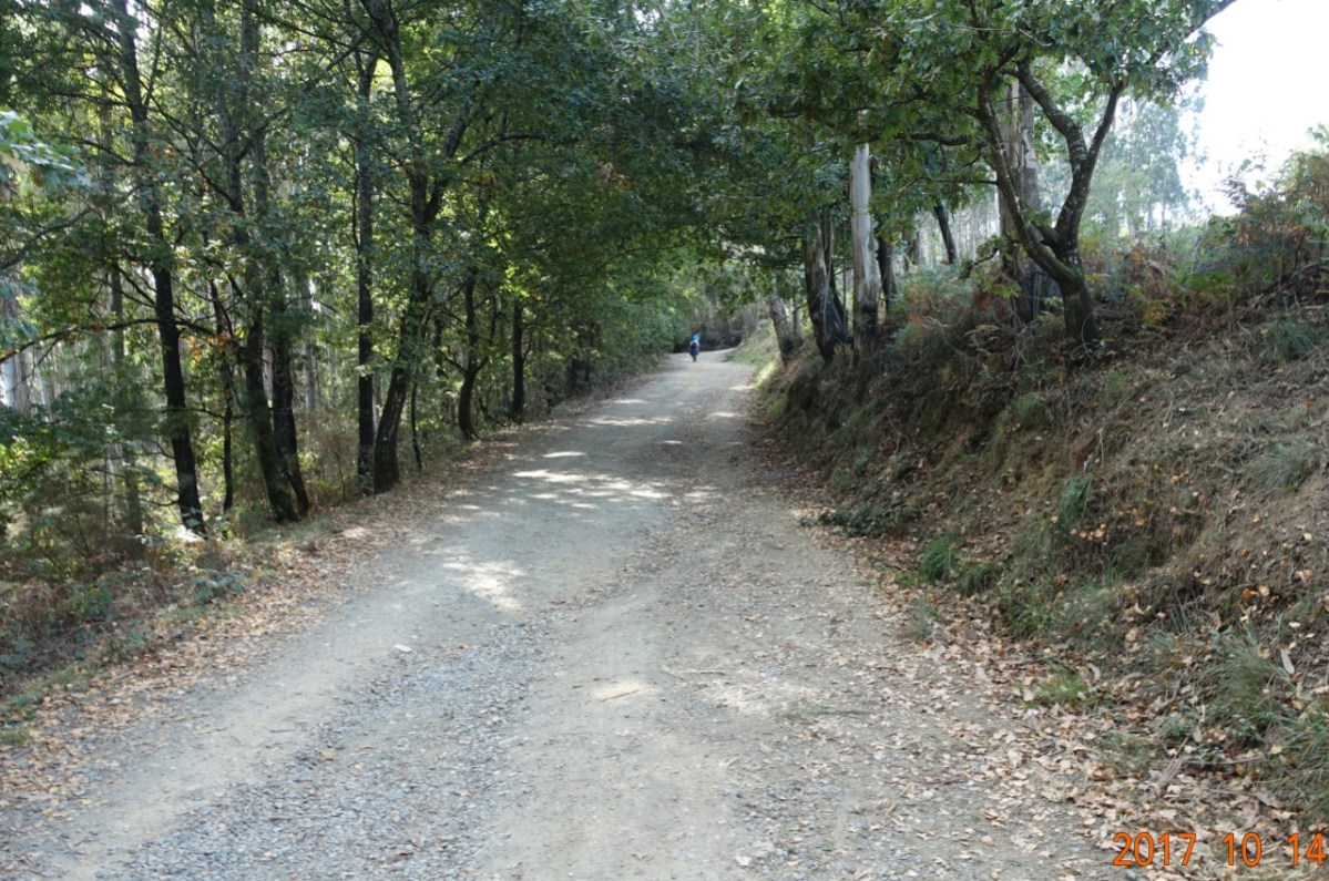 Camino-2017-10-14l