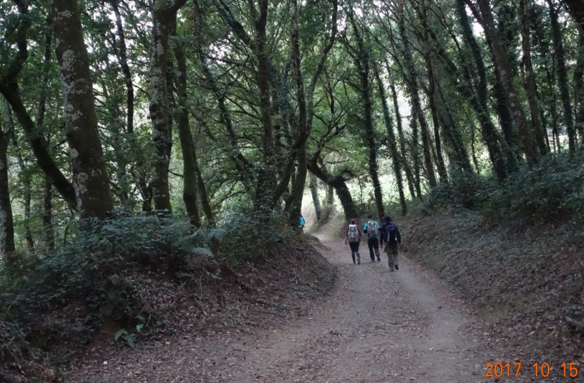 Camino-2017-10-15a
