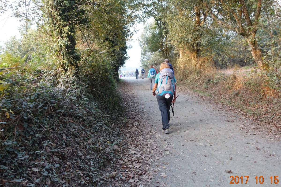 Camino-2017-10-15d