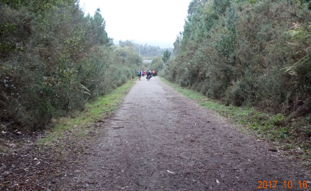 Camino-2017-10-16f