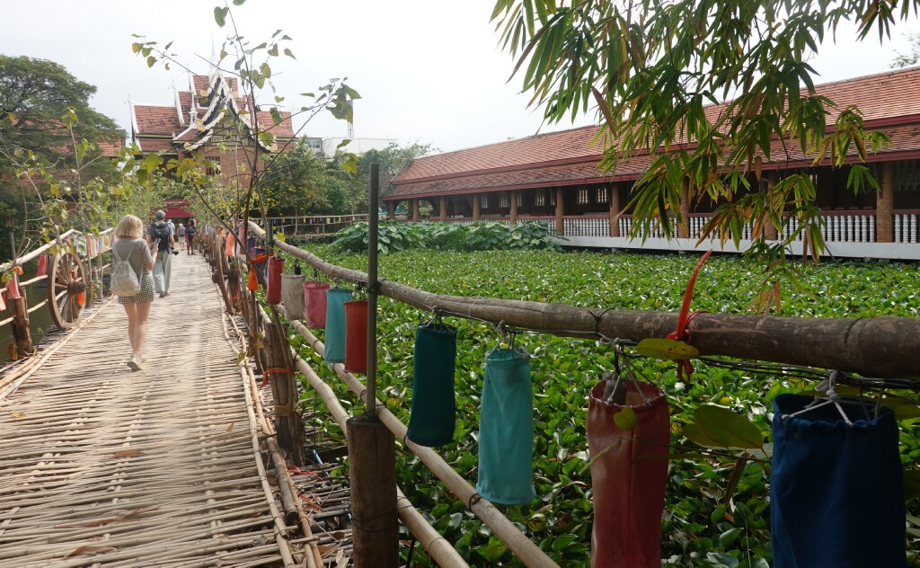 View over the dense lotus plants in the lake at Wat Jed Lin, Chiang Mai, Thailand